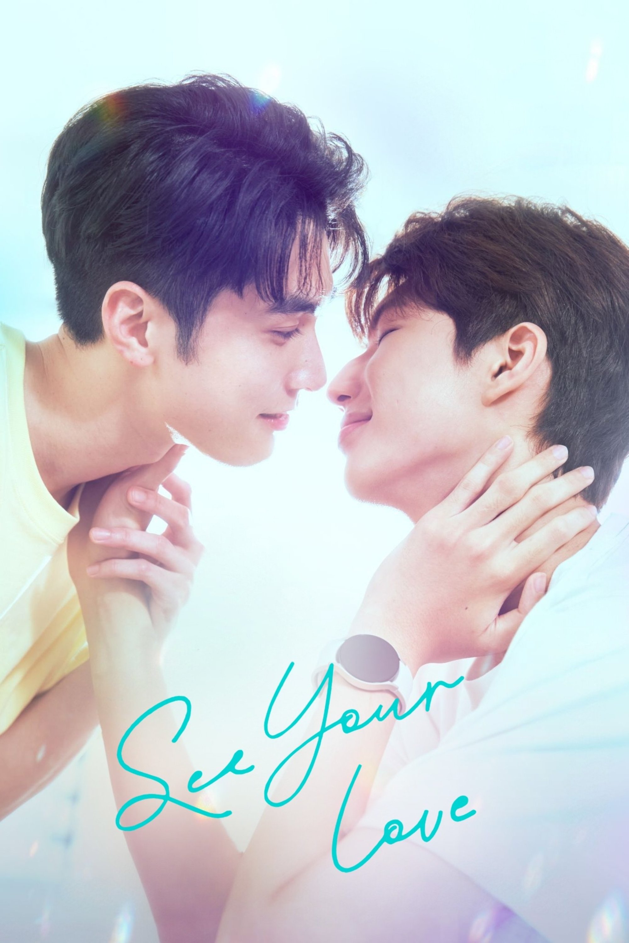 See Your Love (2024 Chinese Drama)