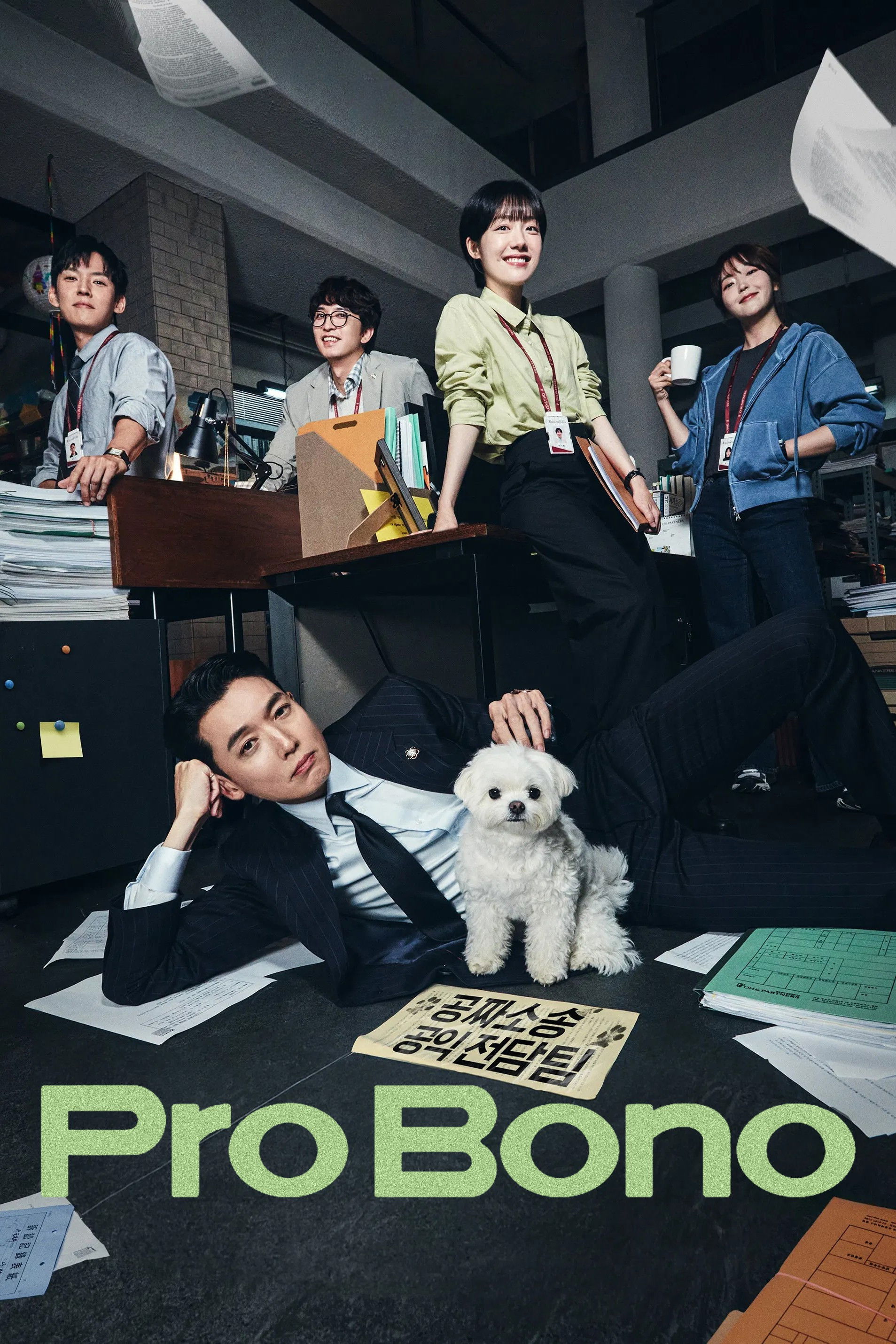 Pro Bono (2025 Korean Drama)