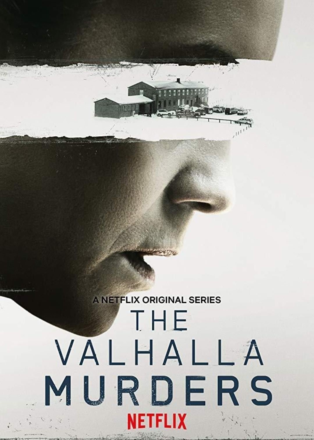 The Valhalla Murders (2019 TV Series)