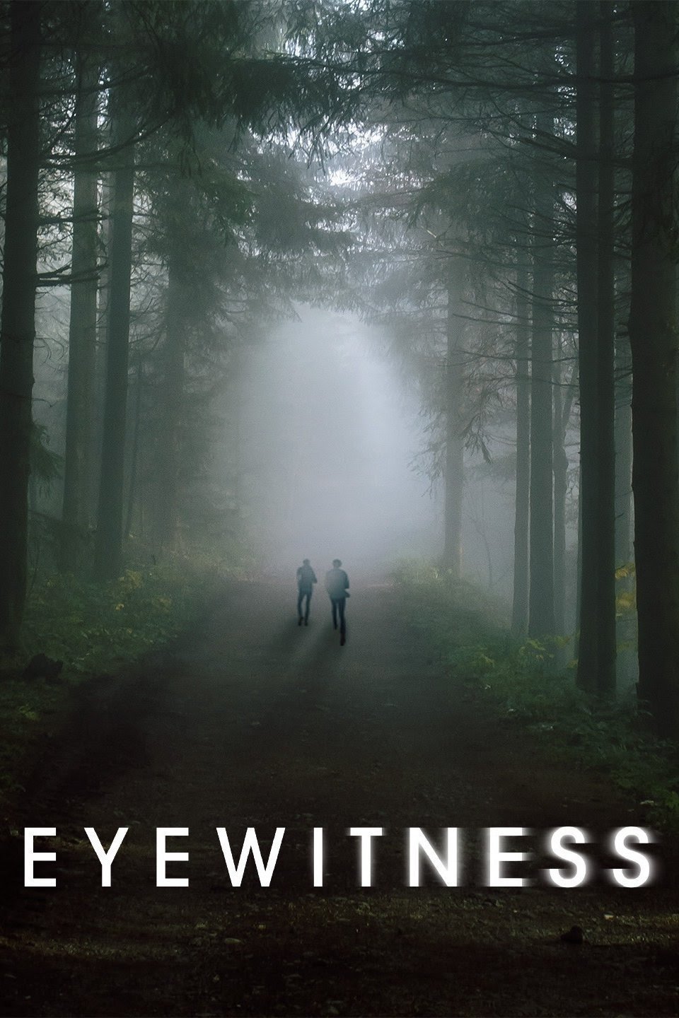 Eyewitness (2016 TV Series)