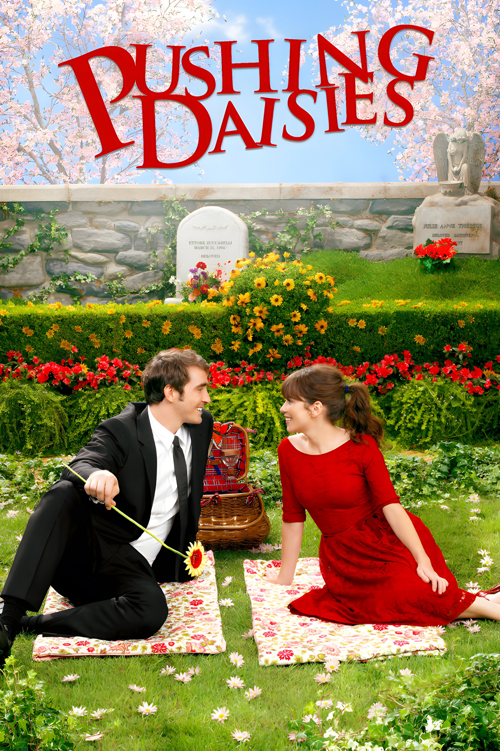 Pushing Daisies (2007 TV Series)