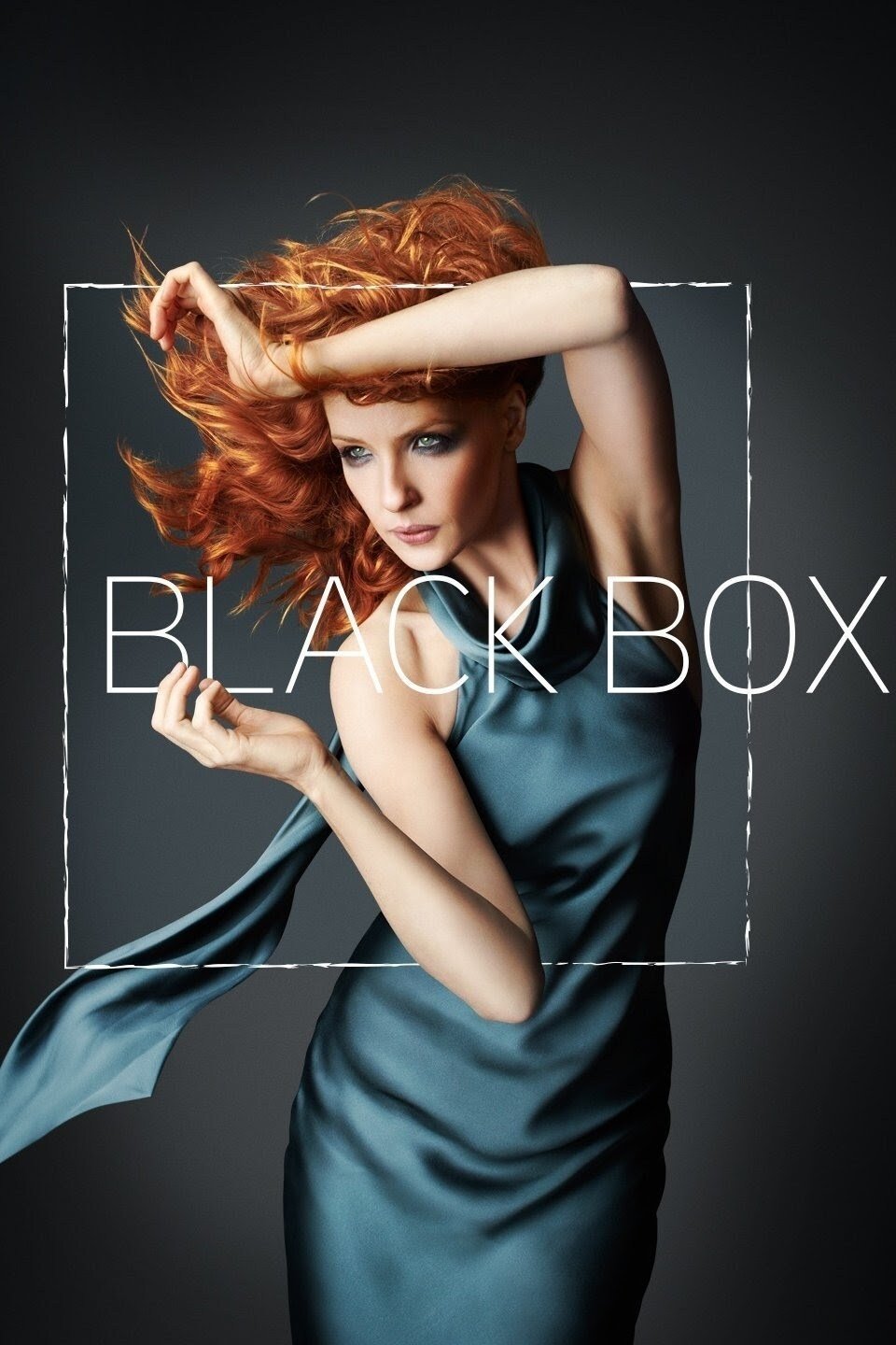 Black Box (2014 TV Series)