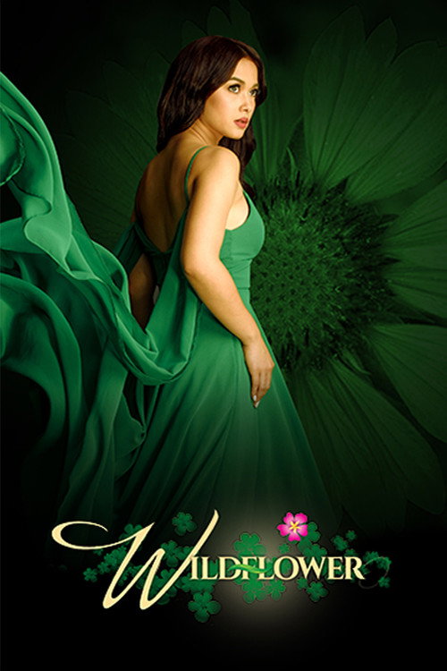 Wildflower (2017 Filipino Drama)