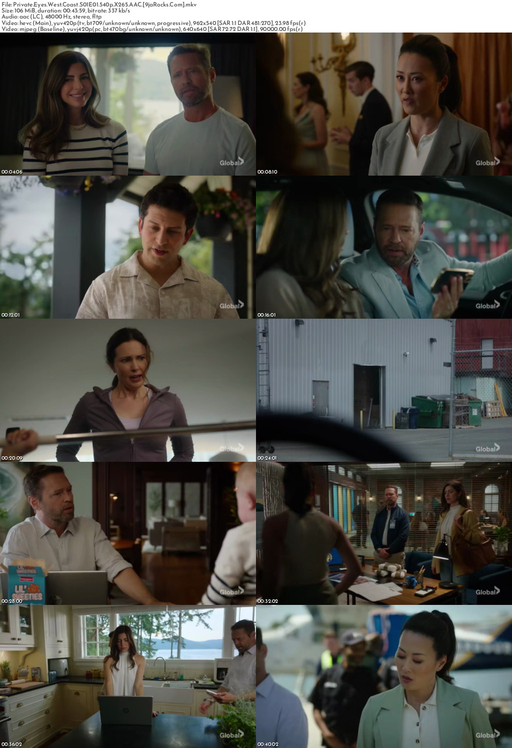 Private Eyes West Coast (2026 TV Series) Season 1 Screenshot 1