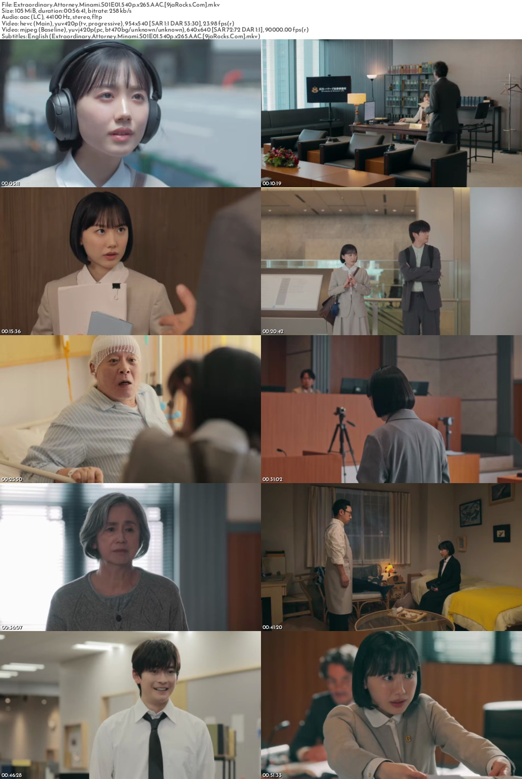 Extraordinary Attorney Minami (2026 Japanese Drama) Season 1 Screenshot 1