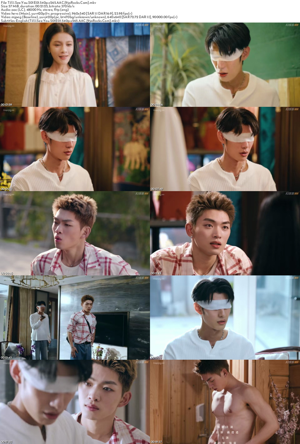 Till I See You (2026 Chinese Drama) Season 1 Screenshot 1