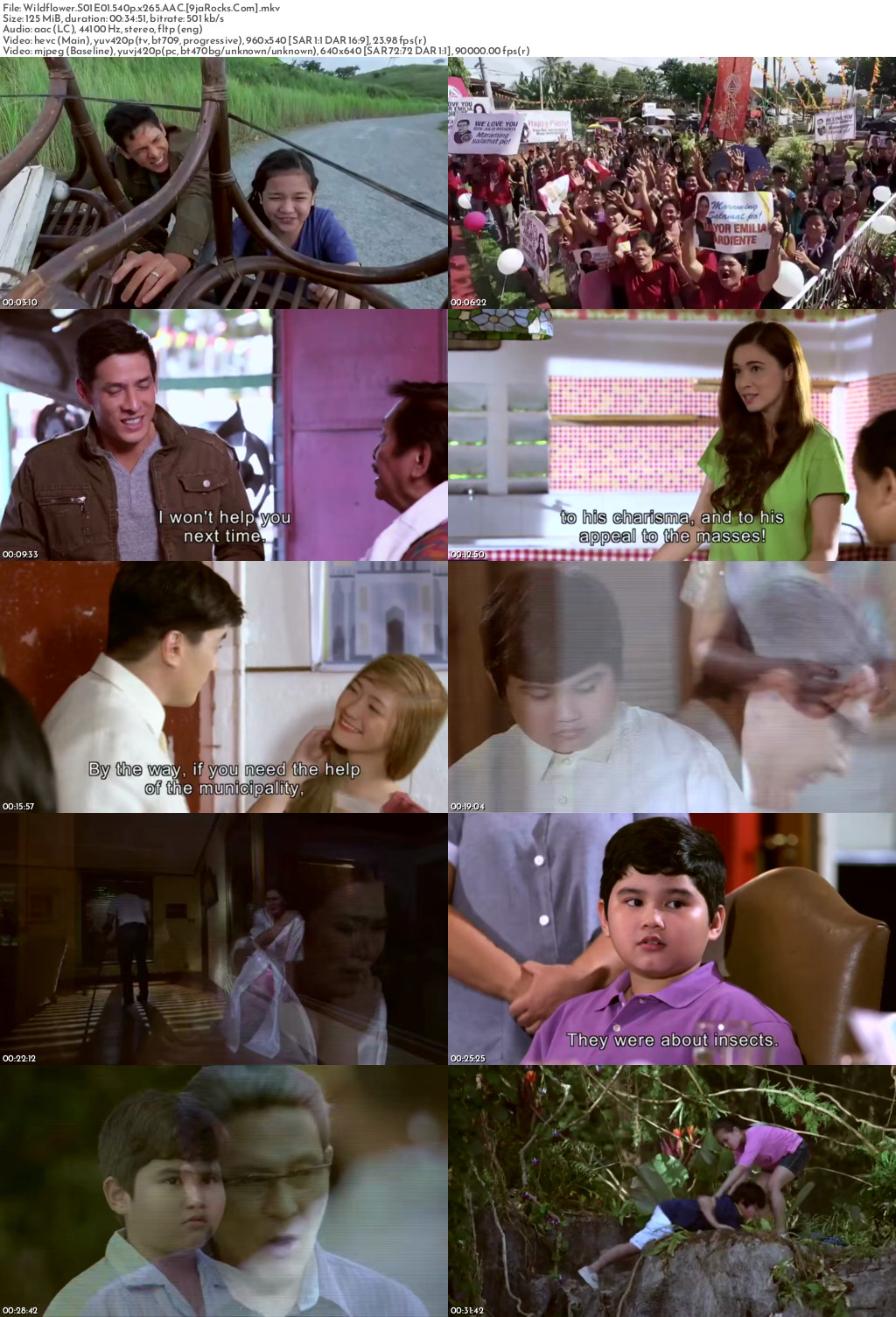 Wildflower (2017 Filipino Drama) Season 1 Screenshot 1