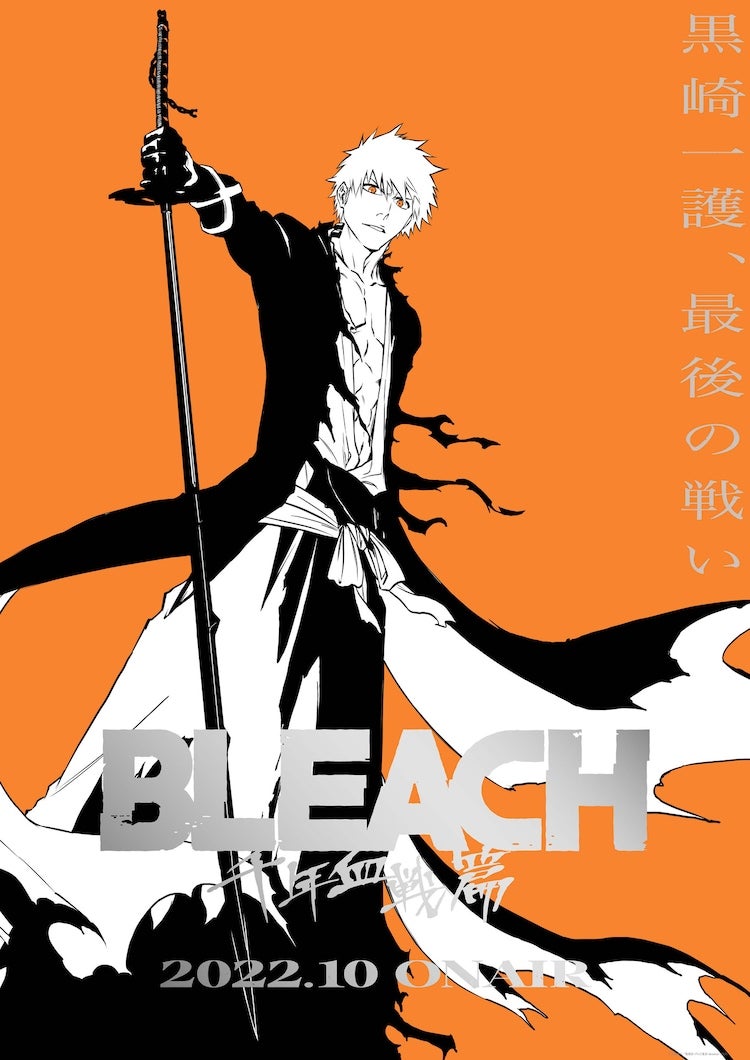 Bleach: Thousand-Year Blood War (2022 Anime Series)