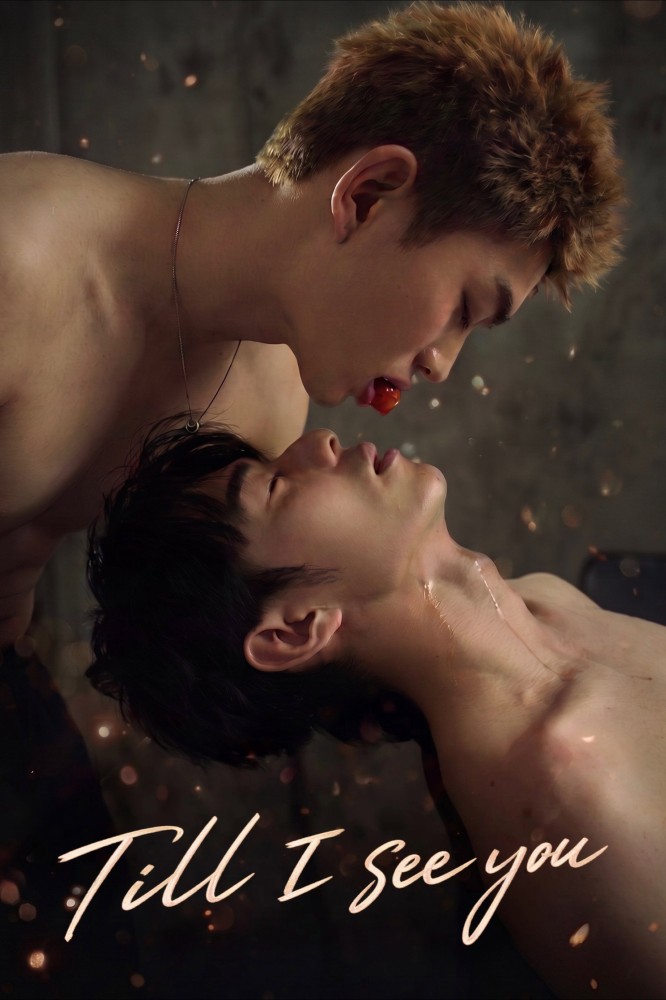 Till I See You (2026 Chinese Drama)