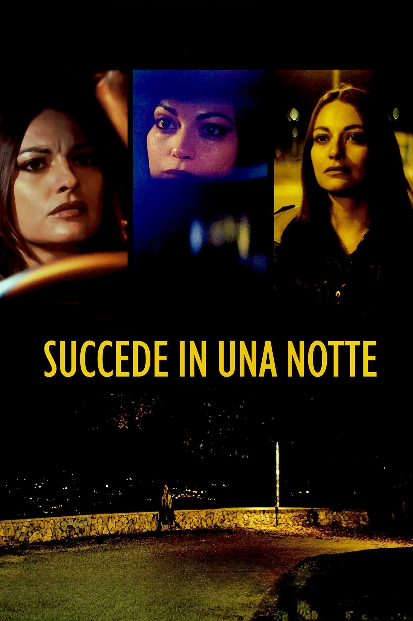 Succede in una notte (2025)