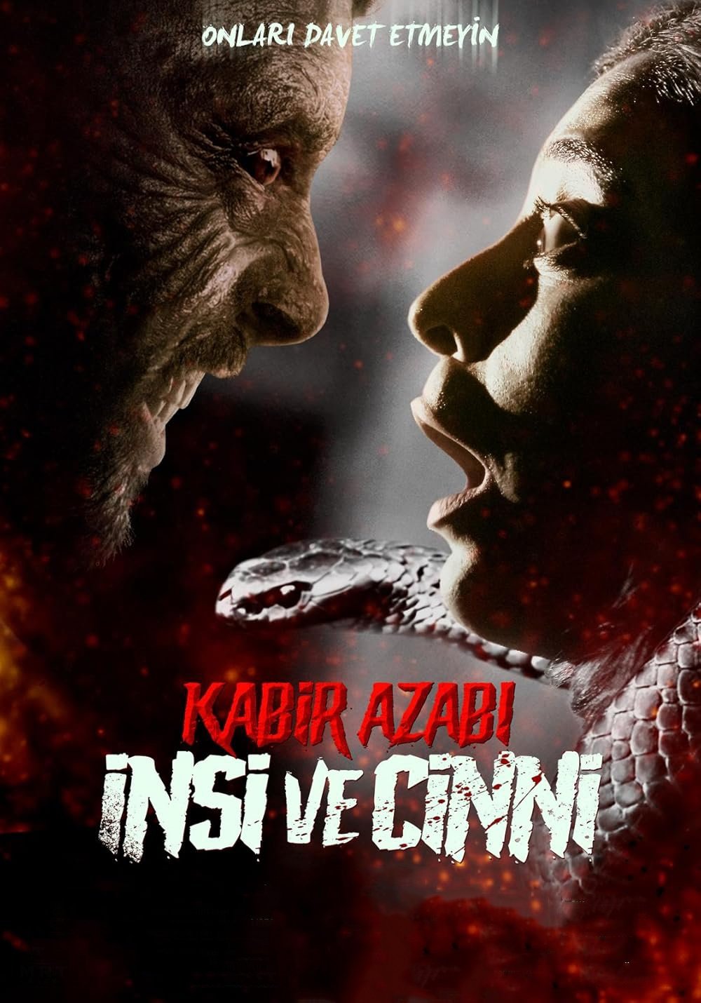 Kabir Azabi: Insi and Jinni (2024)