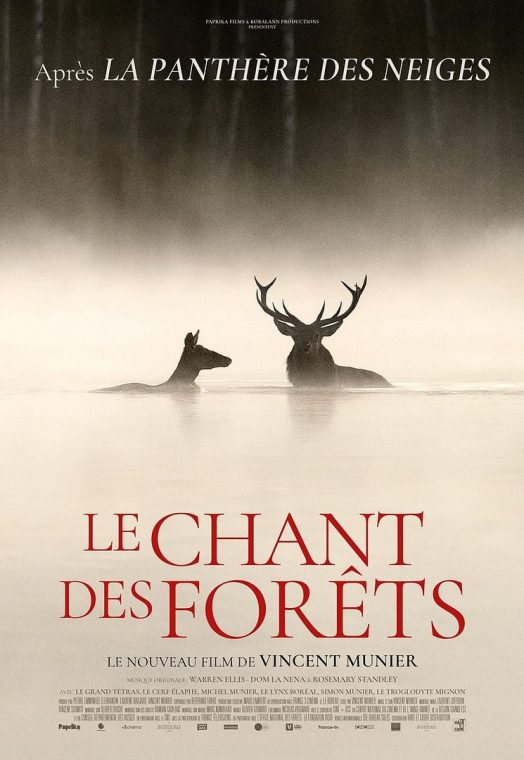 Whispers in the Woods (2025) – French