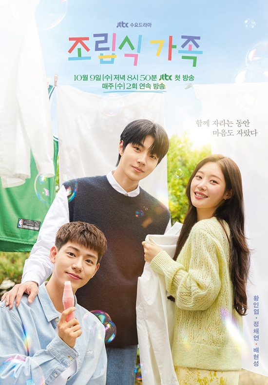 Family by Choice (2024 Korean Drama)