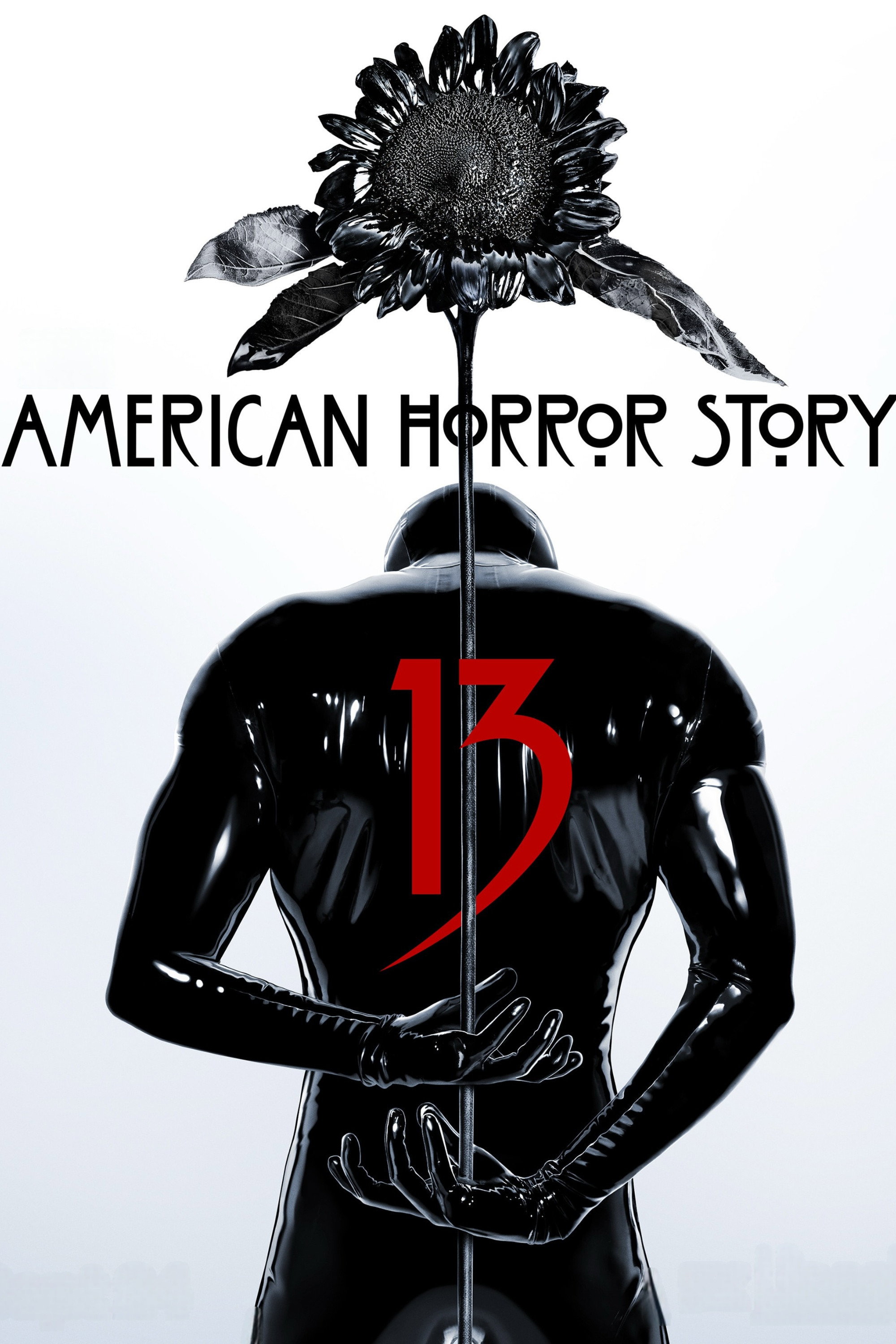 Season 13